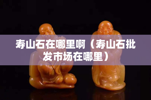寿山石在哪里啊（寿山石批发市场在哪里）