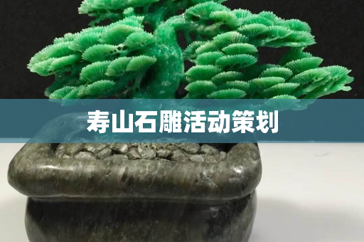 寿山石雕活动策划