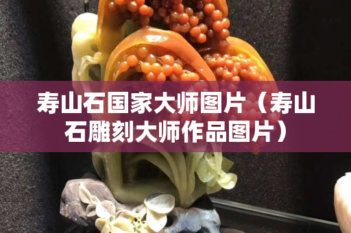 寿山石国家大师图片（寿山石雕刻大师作品图片）