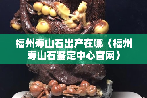 福州寿山石出产在哪（福州寿山石鉴定中心官网）