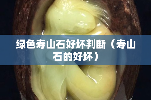 绿色寿山石好坏判断（寿山石的好坏）