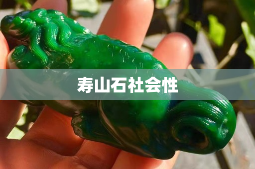 寿山石社会性