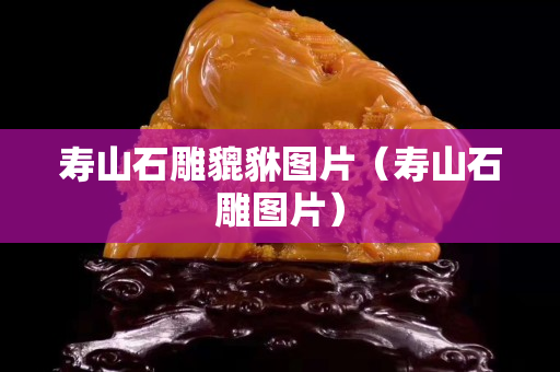 寿山石雕貔貅图片（寿山石雕图片）
