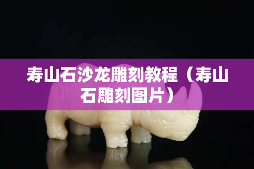 寿山石沙龙雕刻教程（寿山石雕刻图片）
