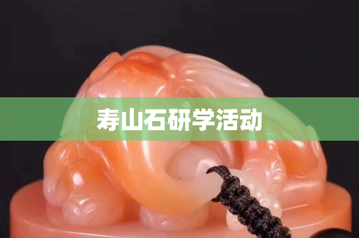 寿山石研学活动
