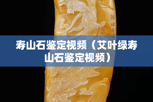 寿山石鉴定视频（艾叶绿寿山石鉴定视频）