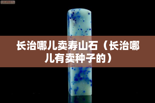 长治哪儿卖寿山石（长治哪儿有卖种子的）