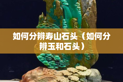 如何分辨寿山石头（如何分辨玉和石头）
