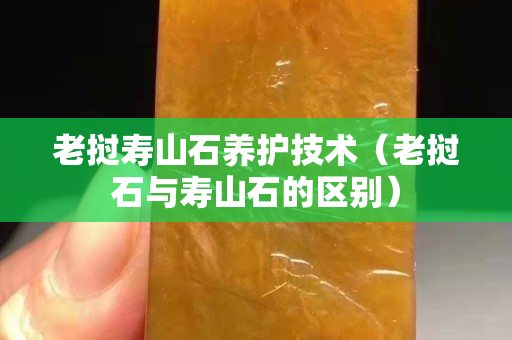老挝寿山石养护技术（老挝石与寿山石的区别）