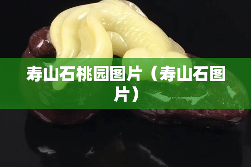 寿山石桃园图片（寿山石图片）