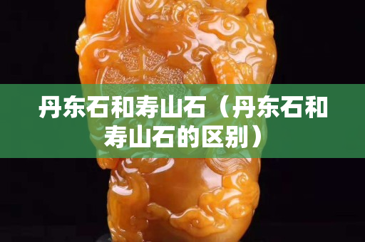 丹东石和寿山石（丹东石和寿山石的区别）