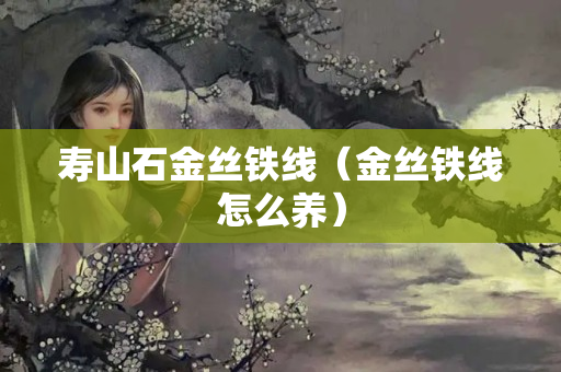 寿山石金丝铁线（金丝铁线怎么养）