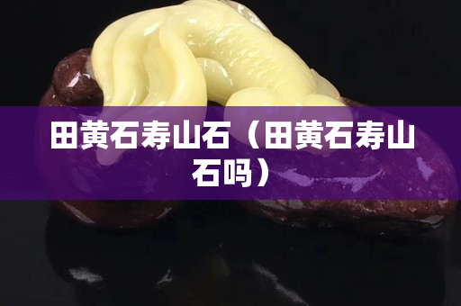 田黄石寿山石（田黄石寿山石吗）