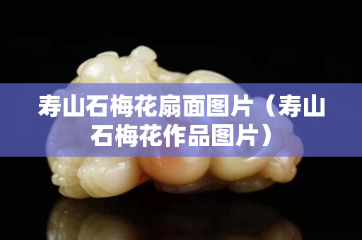 寿山石梅花扇面图片（寿山石梅花作品图片）