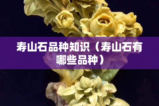 寿山石品种知识（寿山石有哪些品种）