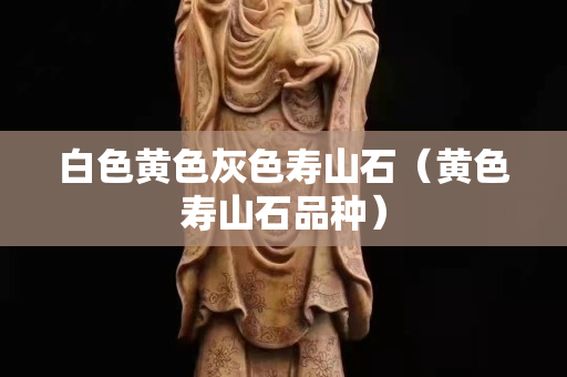 白色黄色灰色寿山石（黄色寿山石品种）
