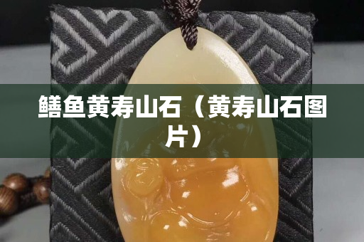 鳝鱼黄寿山石（黄寿山石图片）
