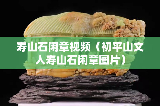 寿山石闲章视频（初平山文人寿山石闲章图片）