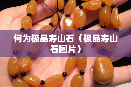 何为极品寿山石（极品寿山石图片）