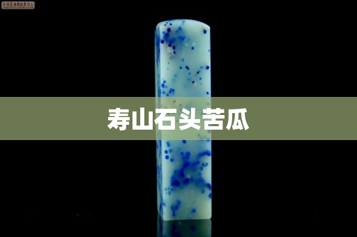 寿山石头苦瓜