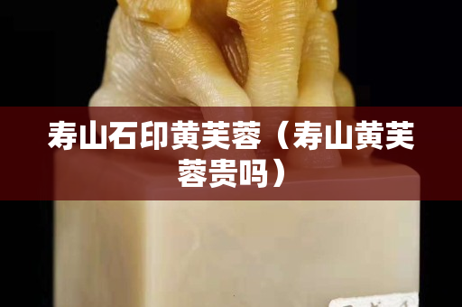 寿山石印黄芙蓉（寿山黄芙蓉贵吗）