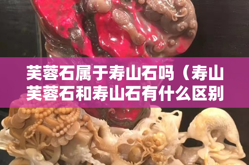 芙蓉石属于寿山石吗（寿山芙蓉石和寿山石有什么区别）