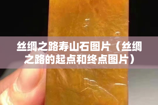 丝绸之路寿山石图片（丝绸之路的起点和终点图片）