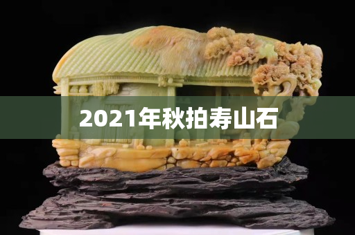 2021年秋拍寿山石