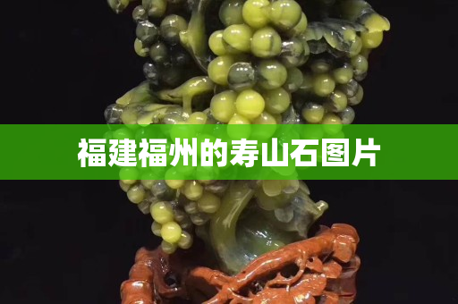 福建福州的寿山石图片