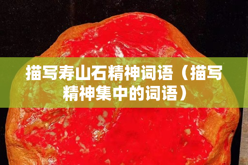 描写寿山石精神词语（描写精神集中的词语）