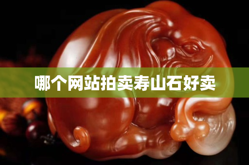 哪个网站拍卖寿山石好卖