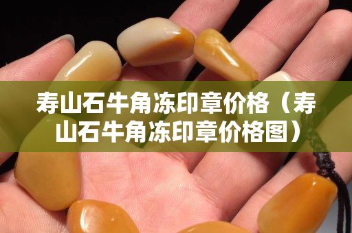 寿山石牛角冻印章价格（寿山石牛角冻印章价格图）