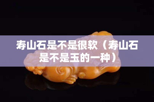 寿山石是不是很软（寿山石是不是玉的一种）