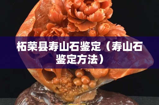柘荣县寿山石鉴定（寿山石鉴定方法）
