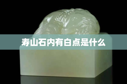 寿山石内有白点是什么