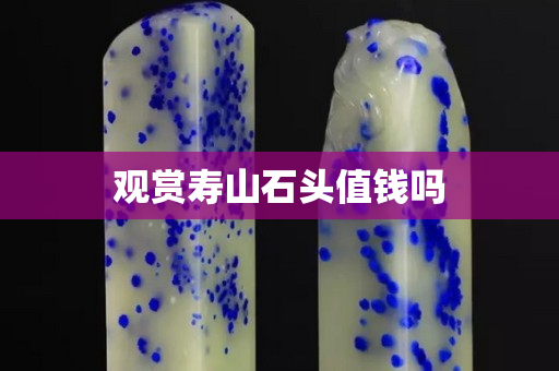 观赏寿山石头值钱吗