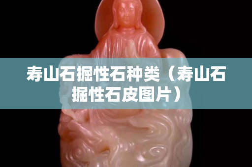 寿山石掘性石种类（寿山石掘性石皮图片）