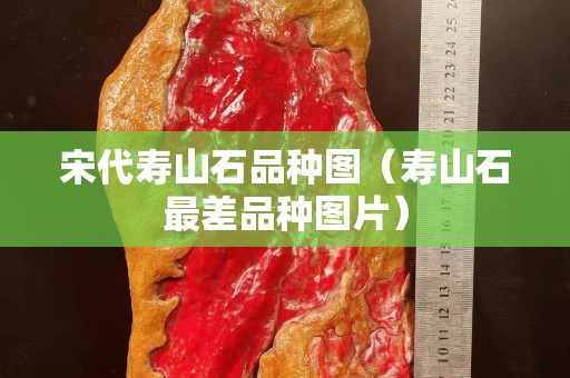 宋代寿山石品种图（寿山石最差品种图片）