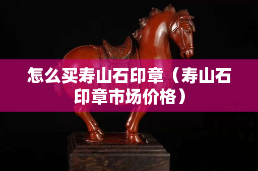 怎么买寿山石印章（寿山石印章市场价格）