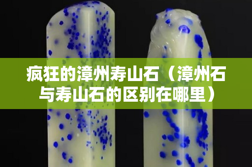 疯狂的漳州寿山石（漳州石与寿山石的区别在哪里）