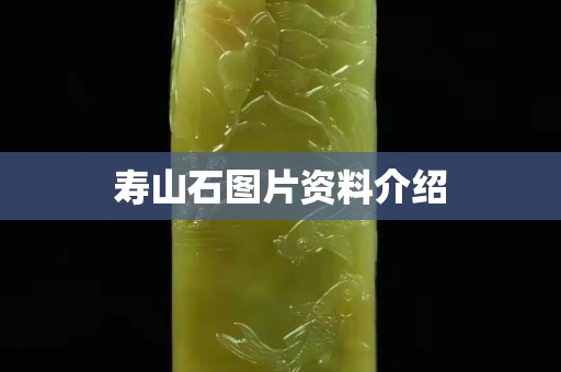 寿山石图片资料介绍