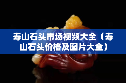 寿山石头市场视频大全（寿山石头价格及图片大全）
