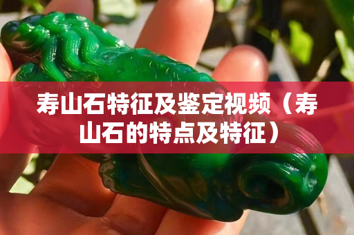 寿山石特征及鉴定视频（寿山石的特点及特征）