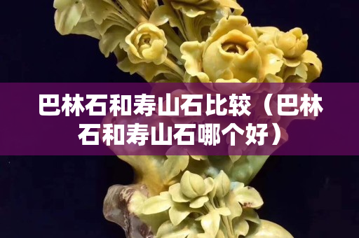 巴林石和寿山石比较（巴林石和寿山石哪个好）