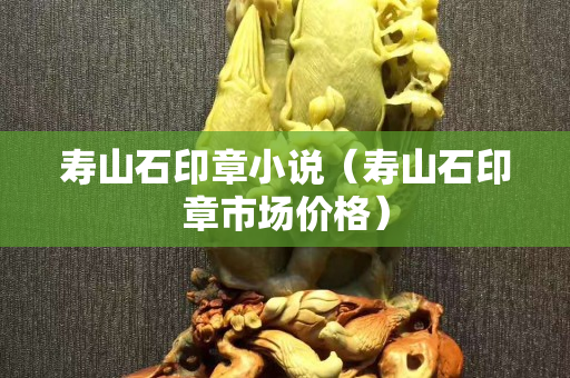 寿山石印章小说（寿山石印章市场价格）