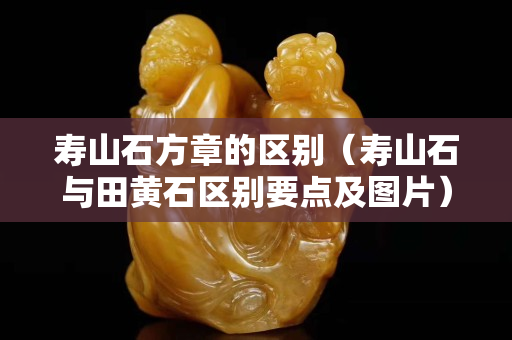 寿山石方章的区别（寿山石与田黄石区别要点及图片）