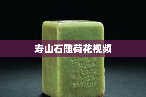 寿山石雕荷花视频