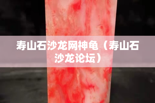 寿山石沙龙网神龟（寿山石沙龙论坛）