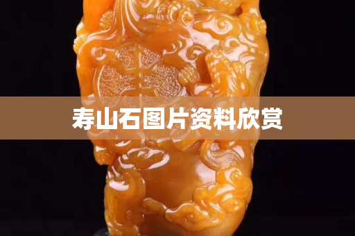 寿山石图片资料欣赏