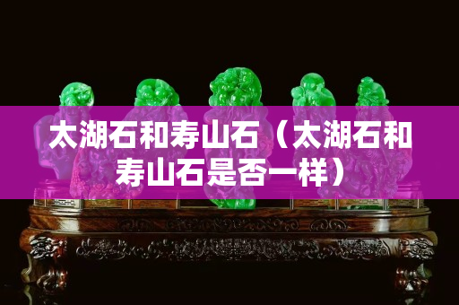 太湖石和寿山石（太湖石和寿山石是否一样）